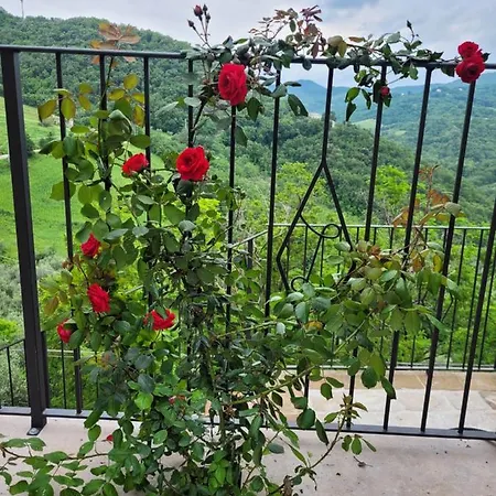 Luciae Domus Roccascalegna