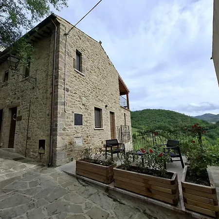 Guest house Luciae Domus *